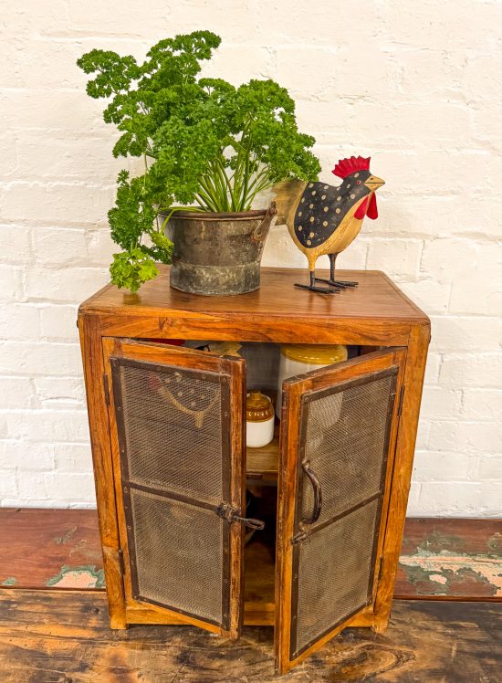 Small Original Mesh/Wood Cabinet - Image 5