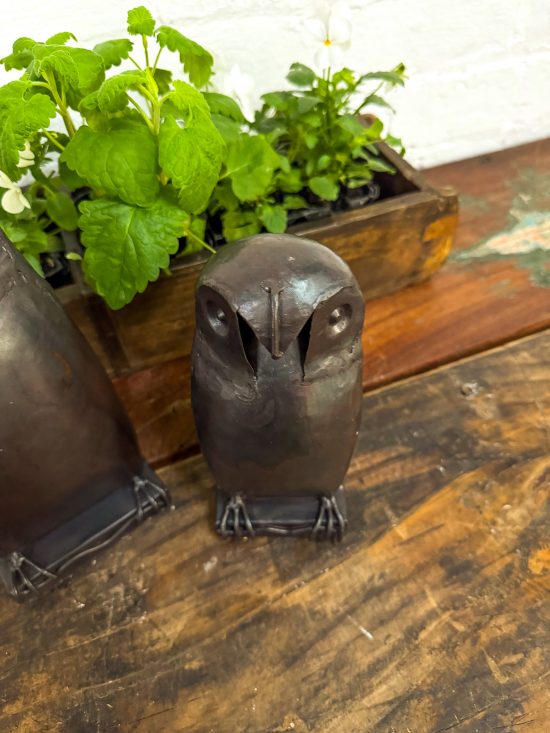 Set 2 Wise Iron Owls - Image 3