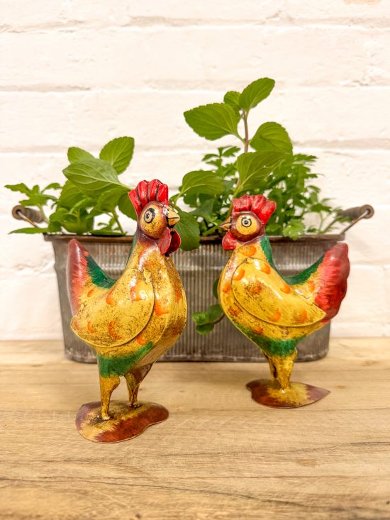 Set 2 Colourful Bantam Roosters