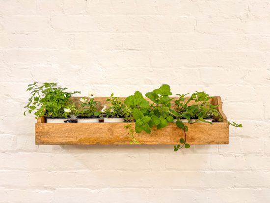 Wooden Book/Display Shelf - Image 2