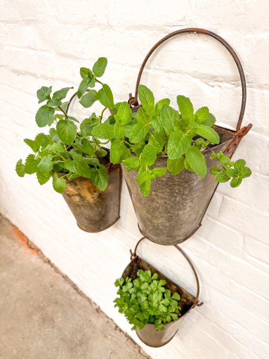 Iron demi Wall Bucket (hooks not included) - Image 5
