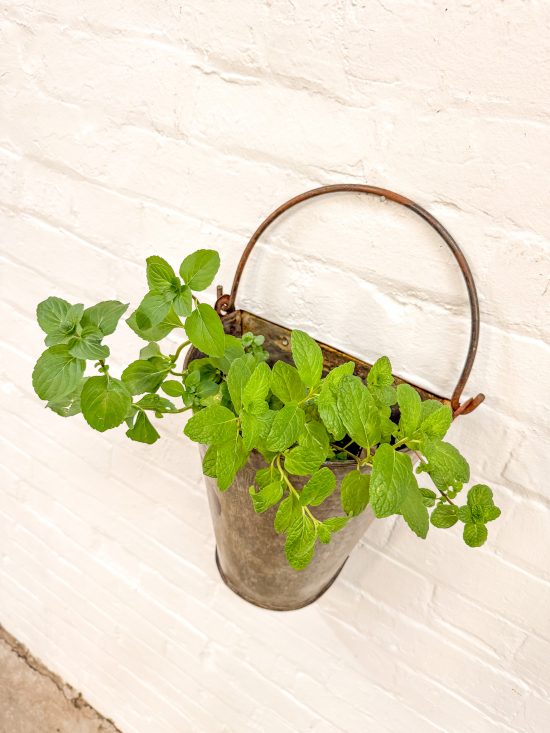 Iron demi Wall Bucket (hooks not included) - Image 4
