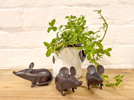 Set 3 'Three Blind Mice'