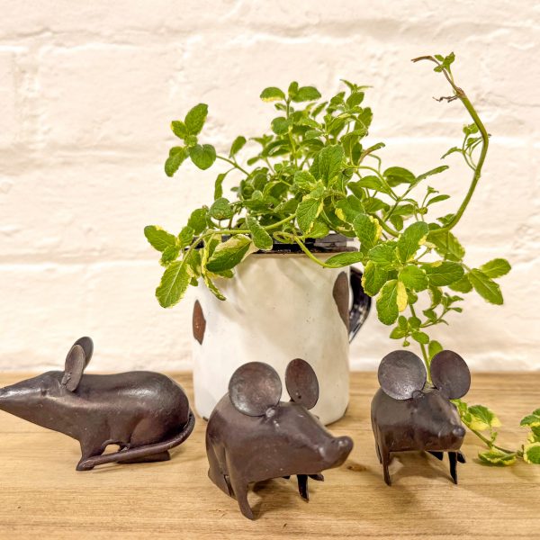 Set 3 'Three Blind Mice'