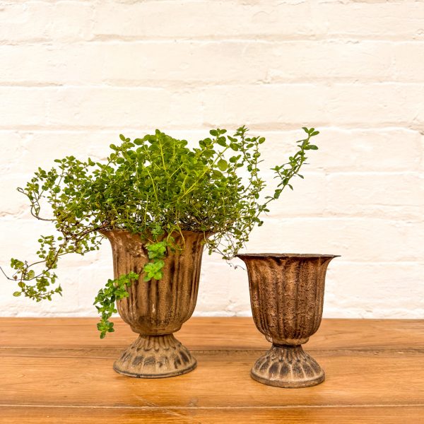 Set 2 Metal Pottles