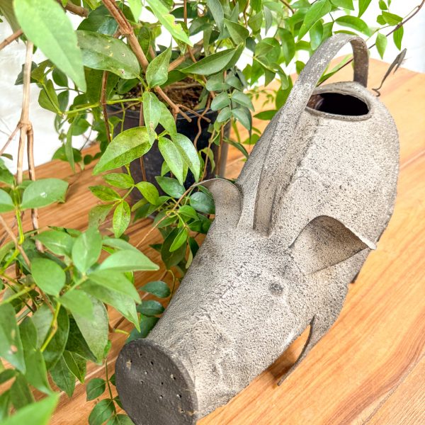 Ornamental Little Pig Watering Can