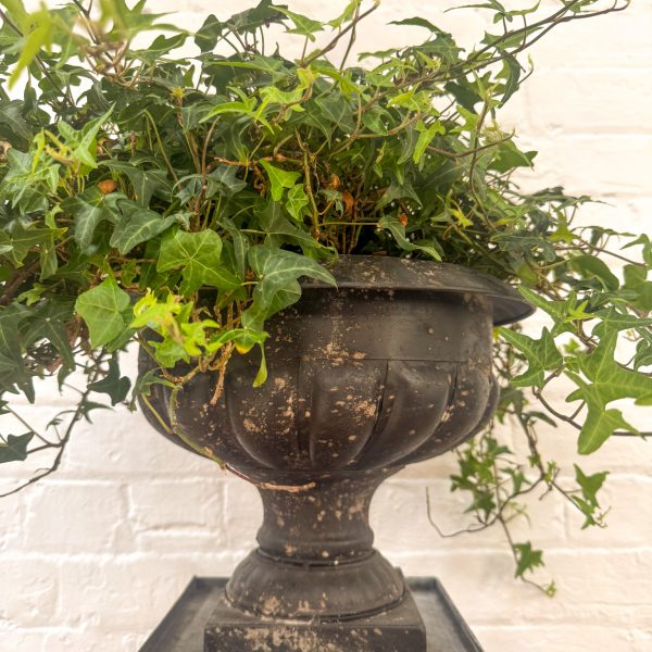 Antique Black Metal Urn